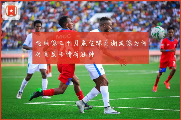 伦纳德三个月最佳球员谢泼德为何对乌度卡情有独钟