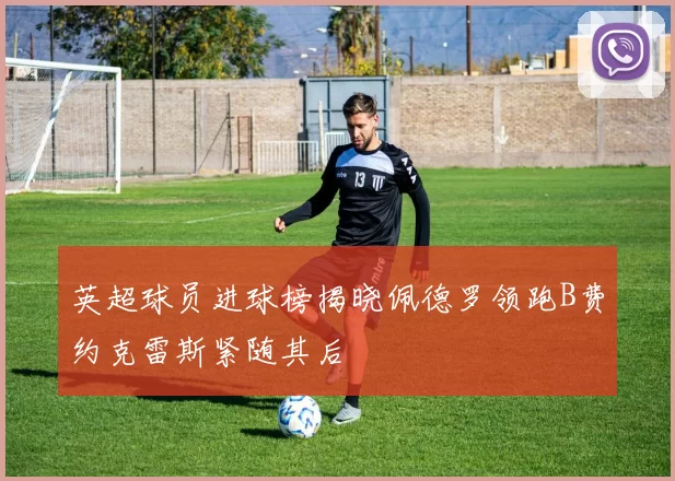 英超球员进球榜揭晓佩德罗领跑B费约克雷斯紧随其后